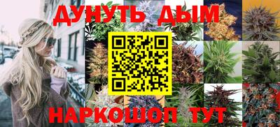бошки Заводоуковск