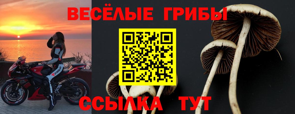 Псилоцибиновые грибы Cubensis  Вход с VPN  Краснокаменск  Галлюциногенные грибы GOLDEN TEACHER 